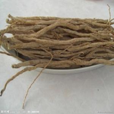 codonopsis pilosula root manufacturer - NATURECHOICE