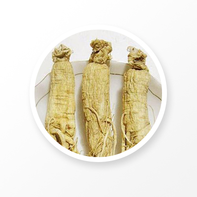 Panax ginseng C. A. Meyer Panax ginseng C. A. Meyer