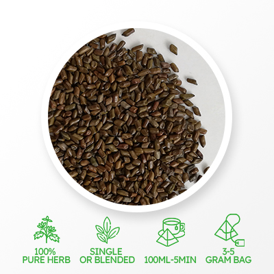 Cassia Seed Cassia Seed