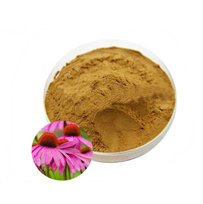 Echinacea Extract