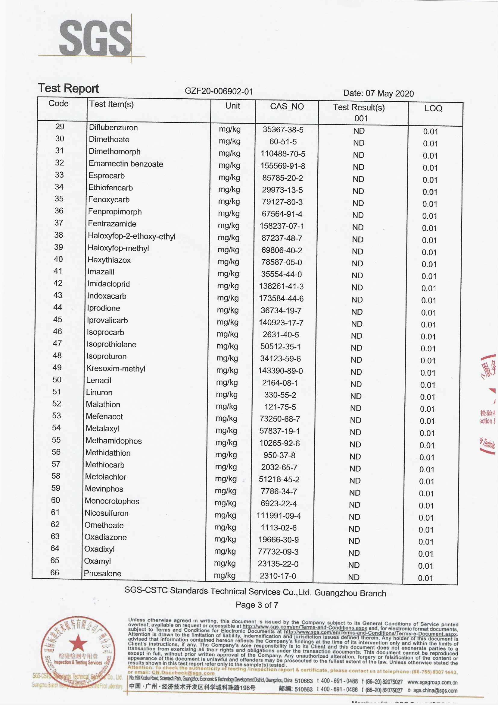 cinnamon-powder-bulk