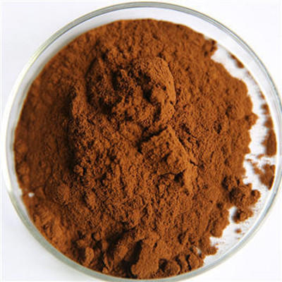 Harnessing Nature's Power: The Science Behind Chaga Extract