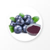 Blueberry Extract: A Natural Remedy For Cognitive Decline