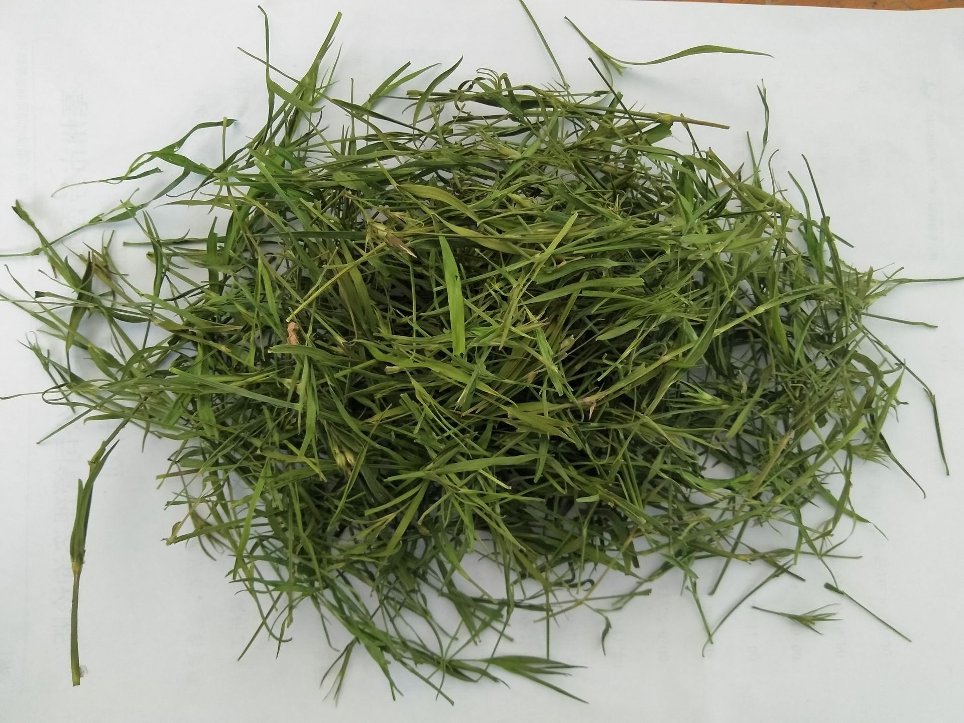 Bamboo Leaf Herbal Tea