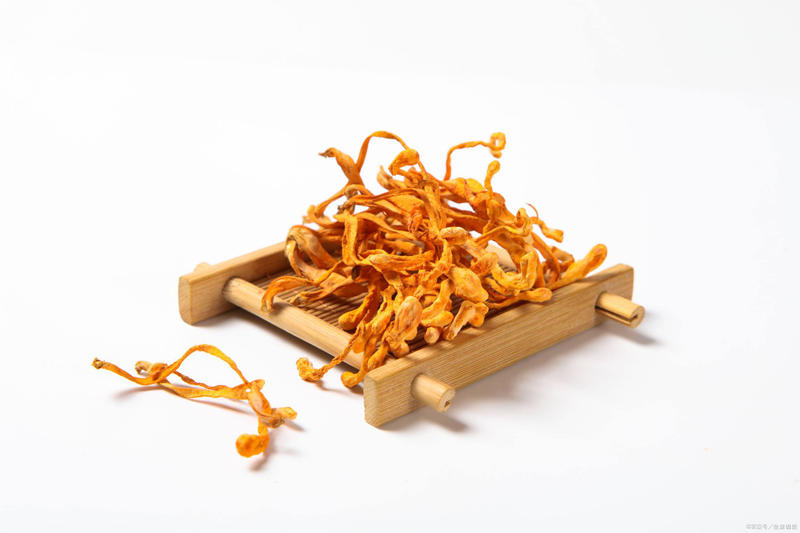 What Does Cordyceps Extract Do for the Body?