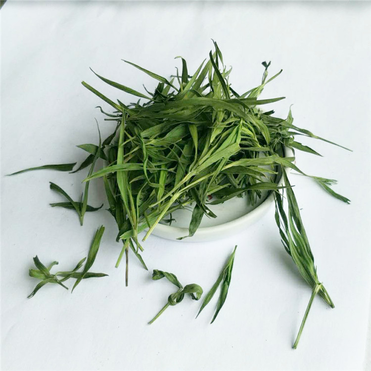 Bamboo Leaf Wholesale