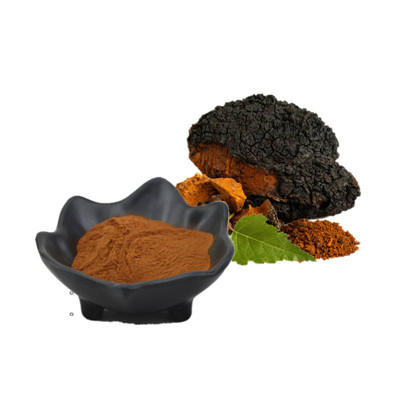 Chaga Mushroom