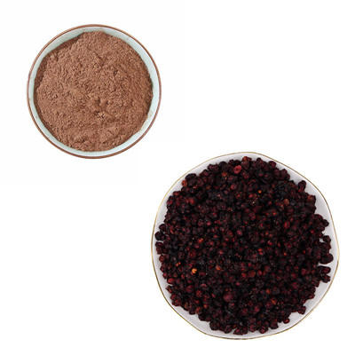 Schisandra Fruit Extract 
