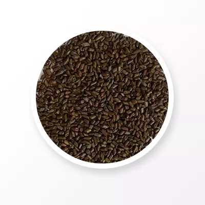 Cassia Seed