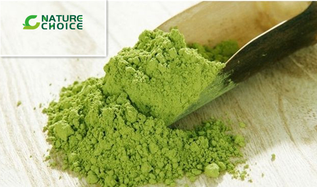 Organic Matcha Powder 
