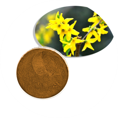 St.John's Wort extract 