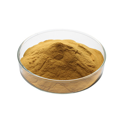 Astragalus Root Extract