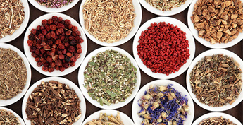 Traditional Chinese Herb