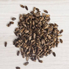 Silybum Marianum Seed