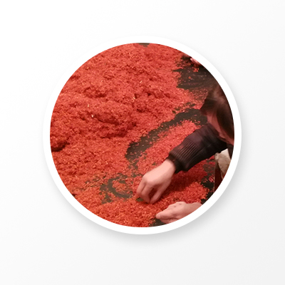 Safflower 