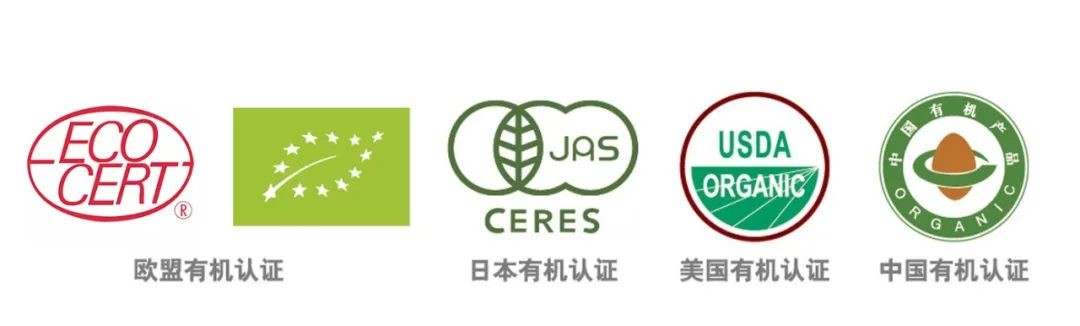 Learn Details of Organic Food