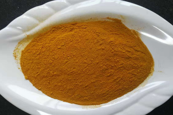 Turmeric Root 