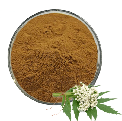 Valerian root extract 