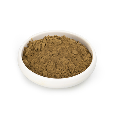 Aloe Vera Extract 