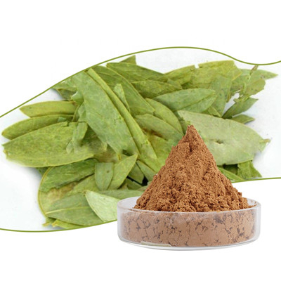 Senna Leaf Extract 