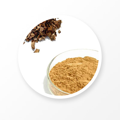 White Willow Bark Extract 