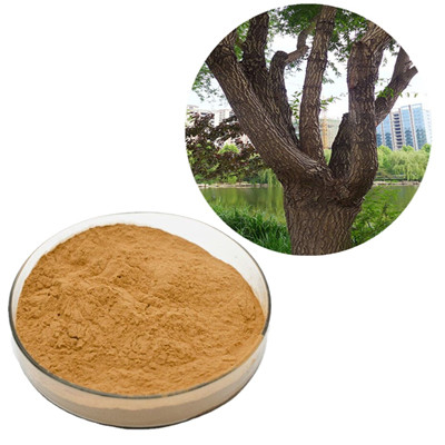 White Willow Bark Extract 
