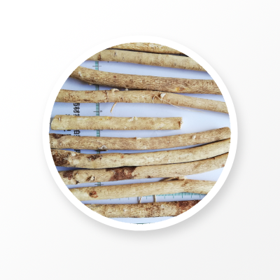 Astragalus Root Powder 
