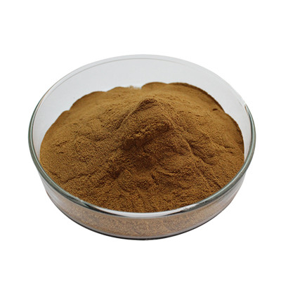 Glucan Grifola Frondosa Mushroom Extract