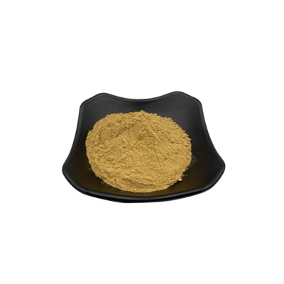 Astragalus Root Extract
