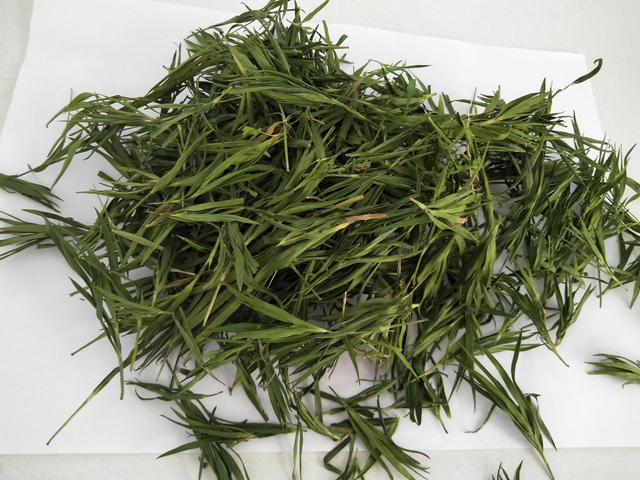 Bamboo Leaf Sliming Tea