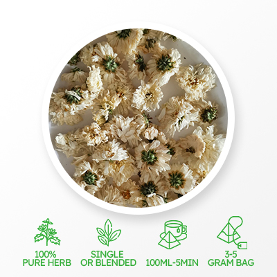 White Chrysanthemum Healthy Tea