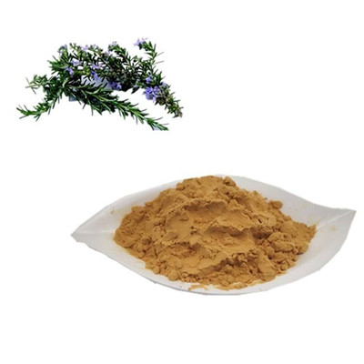 Rosemary Extract