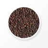 Schisandra Seed