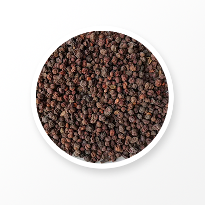 Schisandra Seed