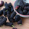 Mulberry Fruit