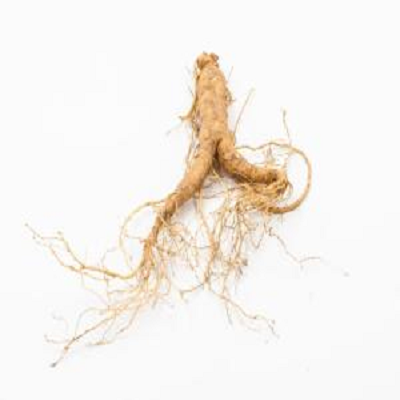 ginseng extract powder - NATURECHOICE