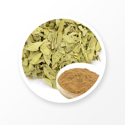 Senna Leaf Extract 