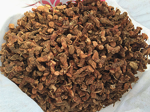 Galangal root buy -NatureChoice