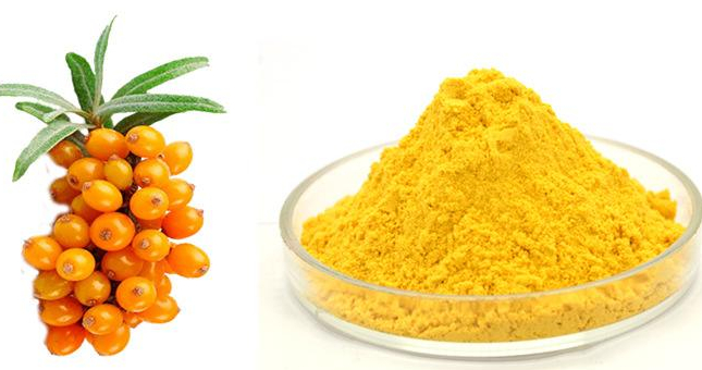 Sea-buckthorn fruit powder