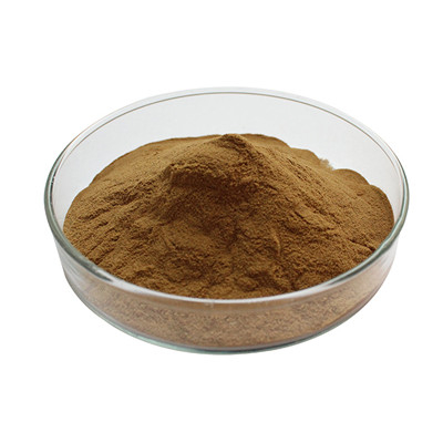 Glucan Grifola Frondosa Mushroom Extract
