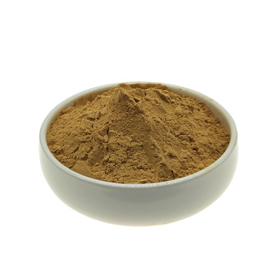 Poria Mushroom Extract