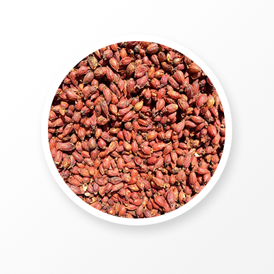 Fructus Gardeniae Fruit