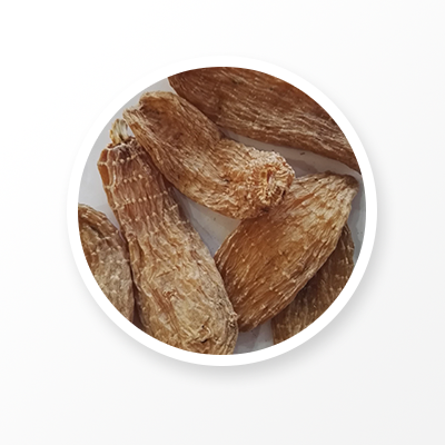 Gastrodiae Rhizoma