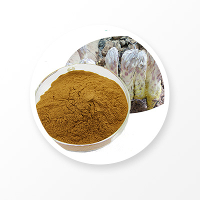 Cistanche Deserticola Extract 