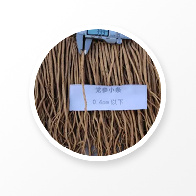 Codonopsis Root