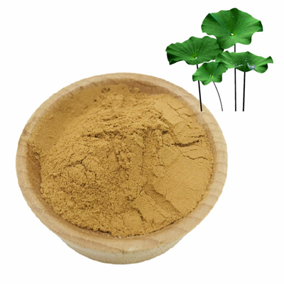 Lotus Leaf Extract 