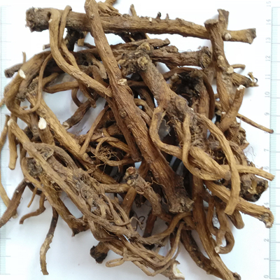 Organic Dandelion root buy -NATURECHOICE