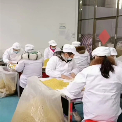 Osmanthus fragrans Selecting -NatureChoice