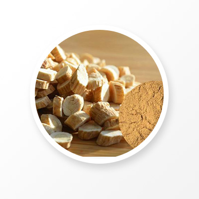 Astragalus Root Extract