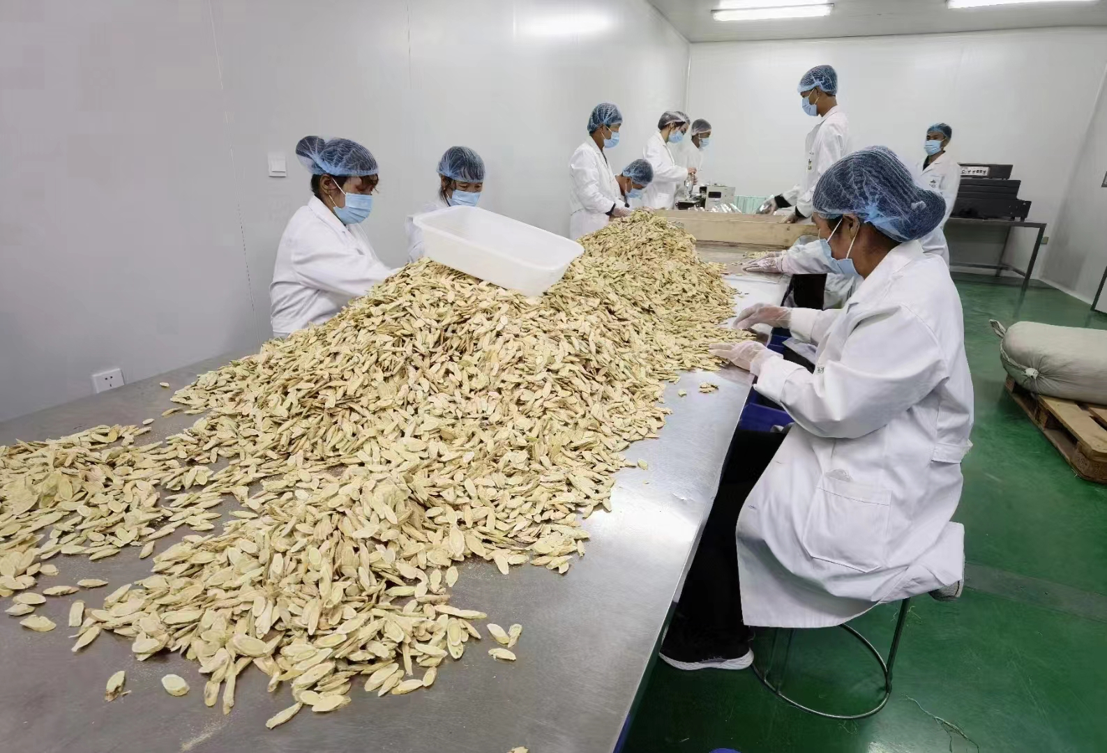 Astragalus Root